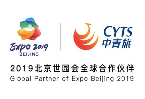 环时互动传媒2019自媒体及口腔美容年度盛典 盛大举办
